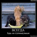 ���� ~������~, ��������� - ��������� 25 ����� 2024