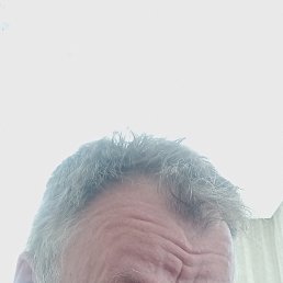 ���� ����, ����� - ��������� 24 ������ 2026