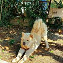 ���� Onur, �������, 39 ��� - ��������� 28 ��� 2025 � ������ ������ ��������