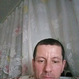 ����, 38 ���, �������