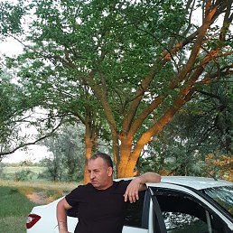 ������, 53 ����, ������