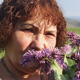 ��������, ������, 58 ���