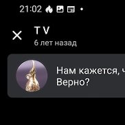 �����, 51 ���, ������