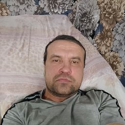 ���� �����, ������, 43 ���� - ��������� 13 ����� 2024