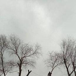 ���� �������, ������, 36 ��� - ��������� 19 ������� 2025