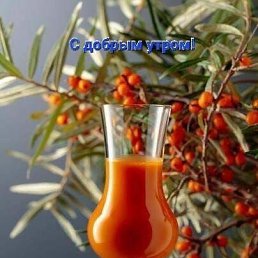 ���� ��������, ���������, 60 ��� - ��������� 14 ������ 2025