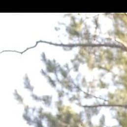 �������, ������, 39 ���