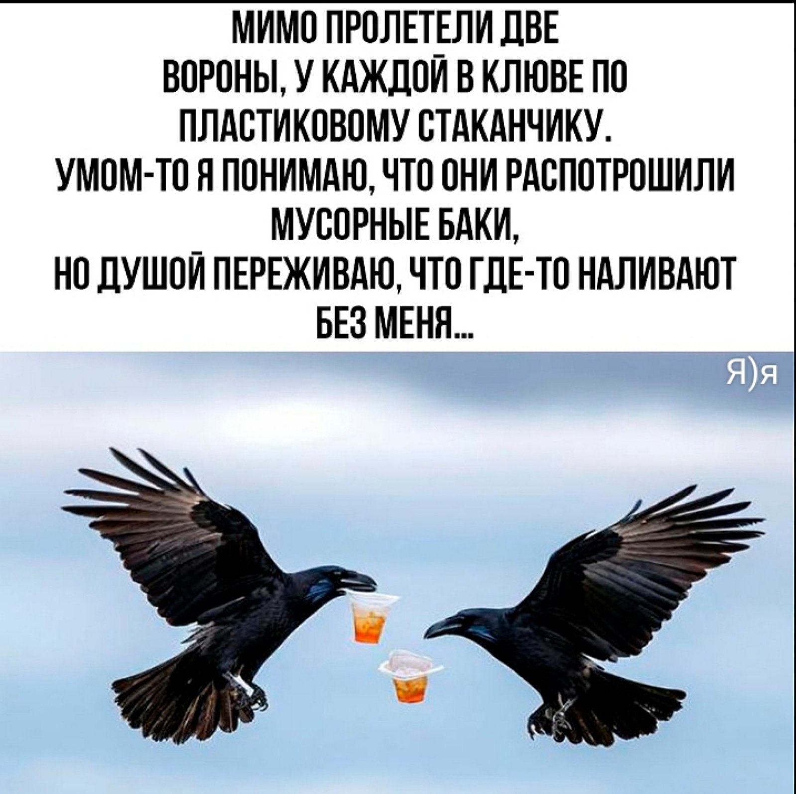  - 19  2024  20:51