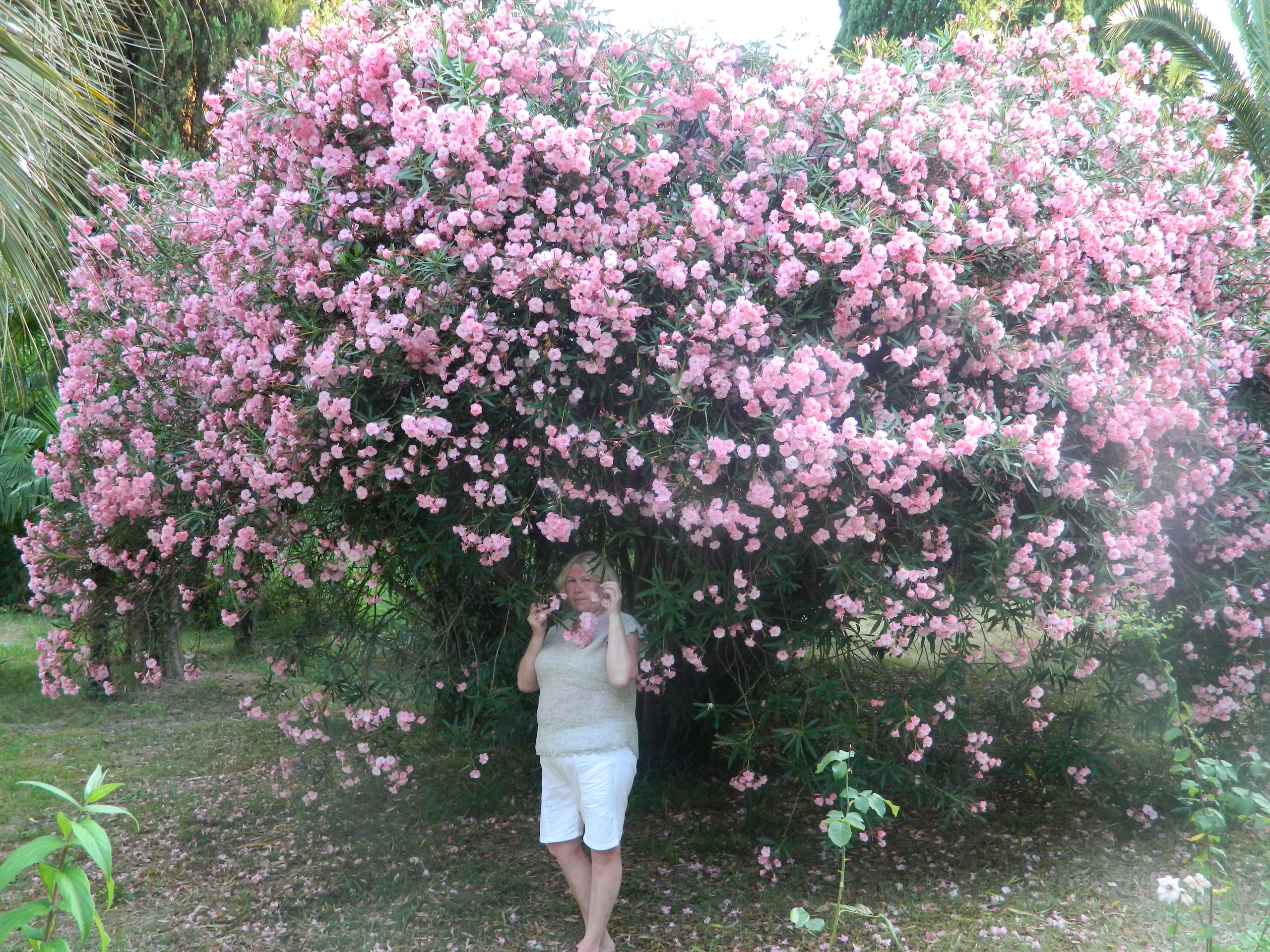 ��������� - 27 ������ 2025 � 20:23