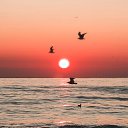 ���� ���������, ���������, 54 ���� - ��������� 13 ������� 2025