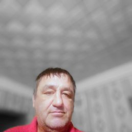 , 51, 