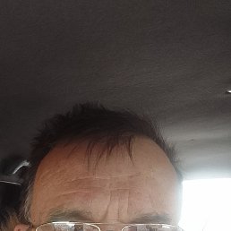 , 54 , -