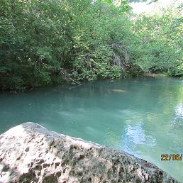 �������, �����������, 47 ���