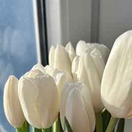 ���� ������������, ������ - ��������� 22 ��� 2026