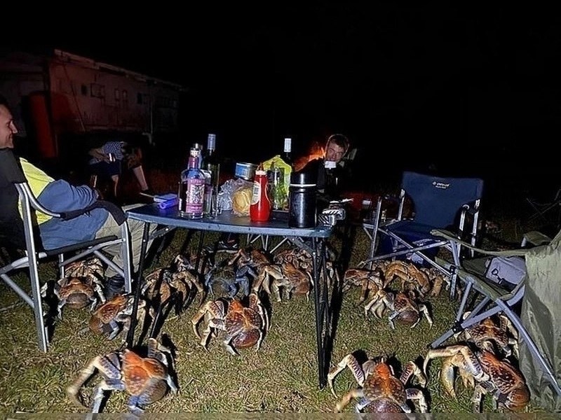 poc�o �������� �e����� � ��c�pa���: ce��� �c�po��a �ap�e�� � �e�����e � � �eo���a��o o�a�a�ac� � ... - 2