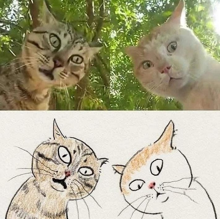 ���������! - 4