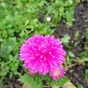 ���� ����, ������������ - ��������� 31 ������ 2026 � ������ ������ ��������