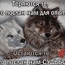���� ������, ������������, 29 ��� - ��������� 18 ������� 2026
