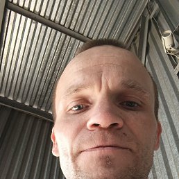 , 41,  