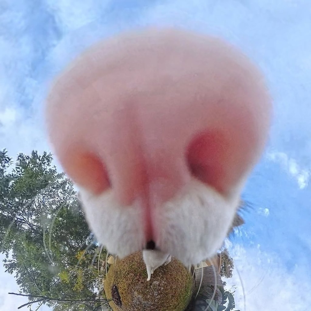 Кто-то осмелится поспорить, что это не самые крутые фотки в интернете? Только попробуйте - 4