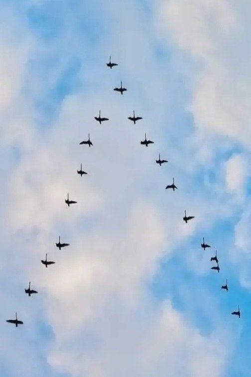 A     e o?!       ,   ...