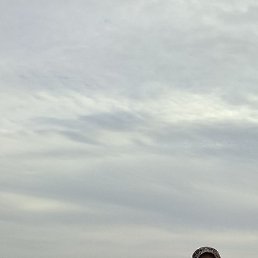 �������, ������������, 61 ���