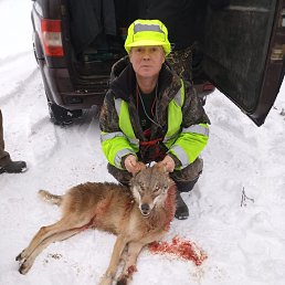 ���������, 43 ����, �����