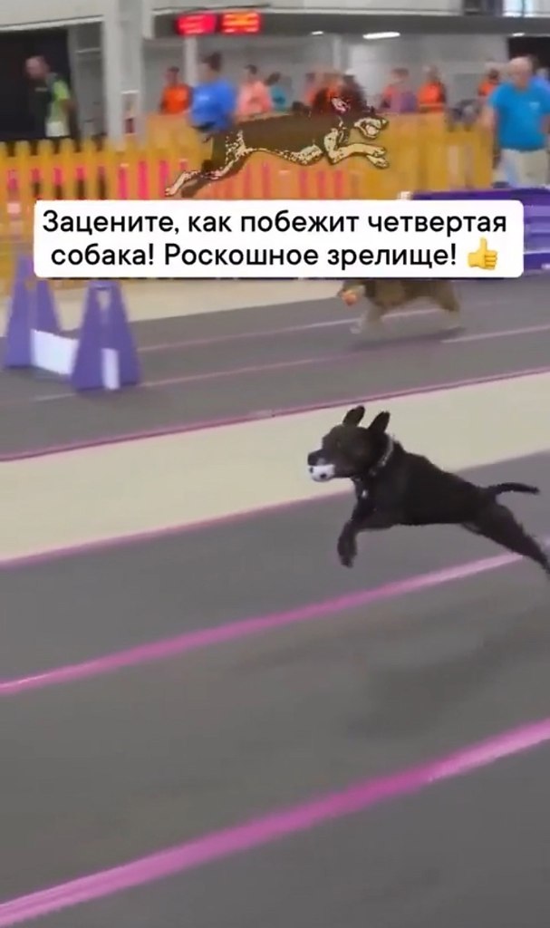  ! - 2