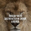 ���� �������, ������ - ��������� 23 ������ 2026 � ������ ������ ��������