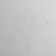 �����, 29 ���, ���������