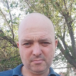 , 43, 