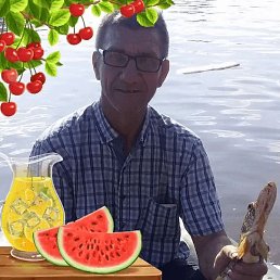 , , 55 