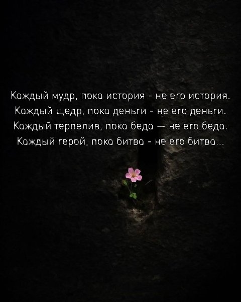 ���� ����� � ������ ������� �������� - 11 ���� 2026 � 13:16 - 2