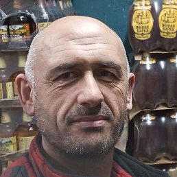 , , 44 