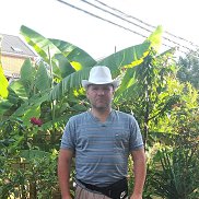 �������, 48 ���, �����������