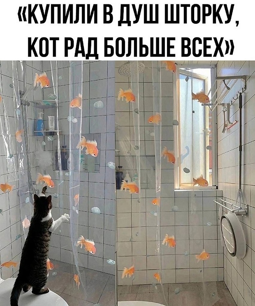 ? ,  ! - 12  2025  22:53
