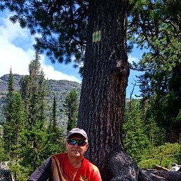 ������, ������, 52 ����