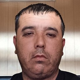 �������, �����������, 50 ���