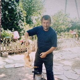 , 61, 