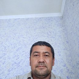 , 41, 