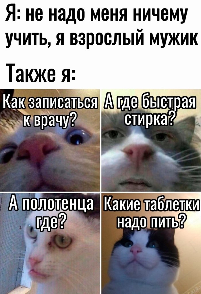  - 8  2025  20:02