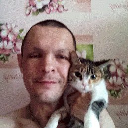 �������, 49 ���, ����