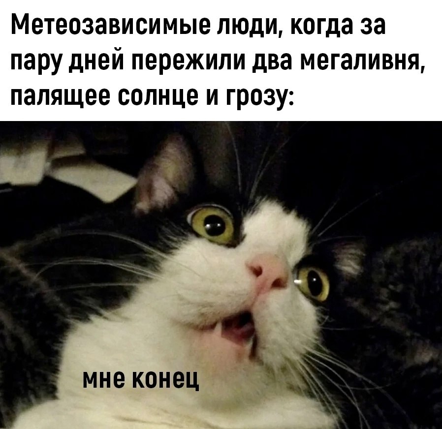   - 12  2025  17:03