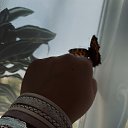 ���� ����, ������, 37 ��� - ��������� 28 �������� 2025 � ������ ���� ����������