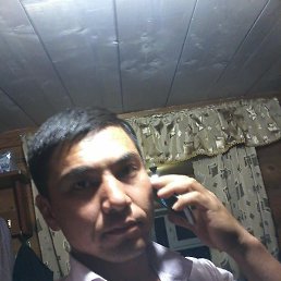 ����, �������, 38 ���