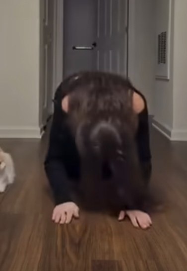    - 2