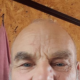, 65, 