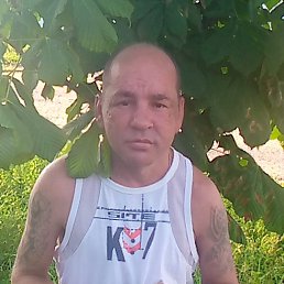 , 42, 