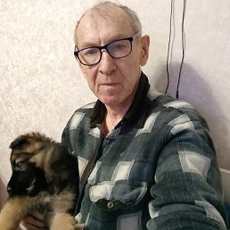 ����, ���������, 66 ���