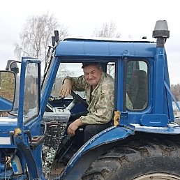 �������, 40 ���, ������